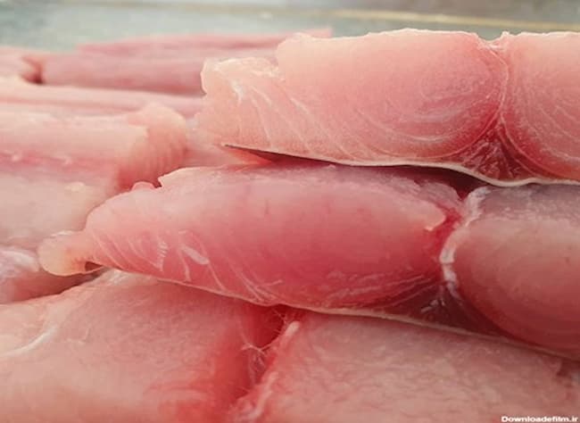 تصویر 1 از قیمت میگو فیله ماهی شیر منجمد + خرید باور نکردنی